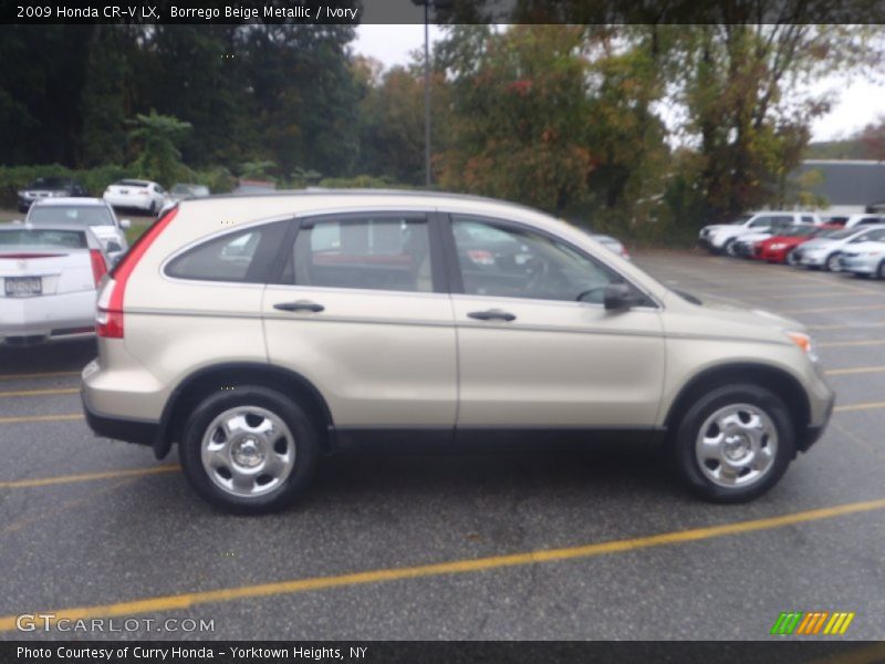 Borrego Beige Metallic / Ivory 2009 Honda CR-V LX