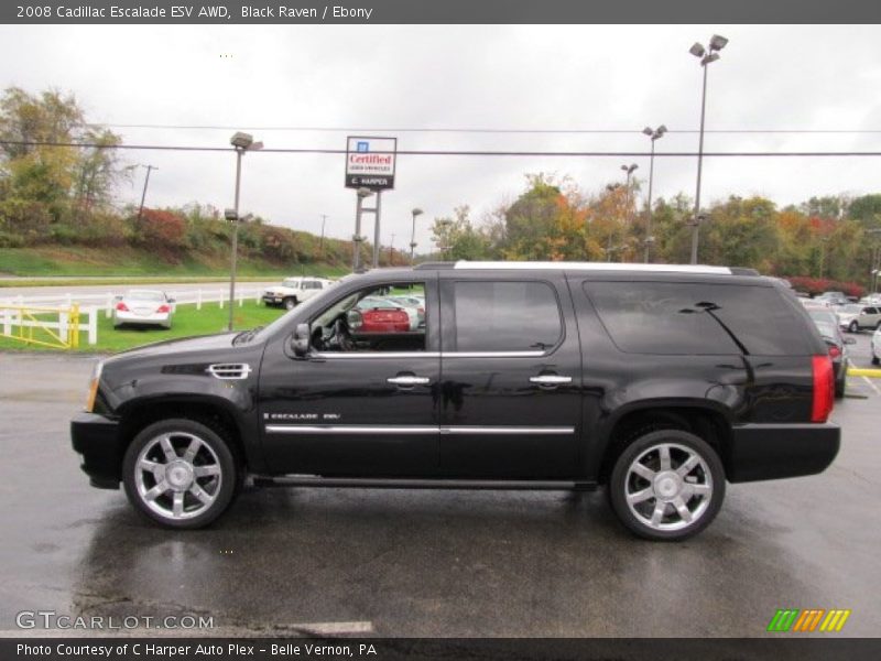 Black Raven / Ebony 2008 Cadillac Escalade ESV AWD