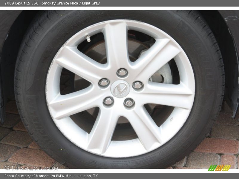 Smokey Granite Mica / Light Gray 2009 Lexus ES 350