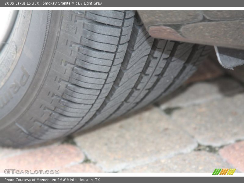 Smokey Granite Mica / Light Gray 2009 Lexus ES 350