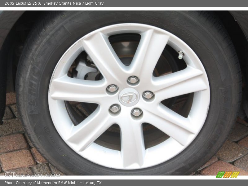 Smokey Granite Mica / Light Gray 2009 Lexus ES 350