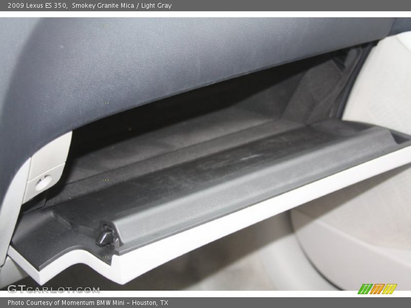 Smokey Granite Mica / Light Gray 2009 Lexus ES 350