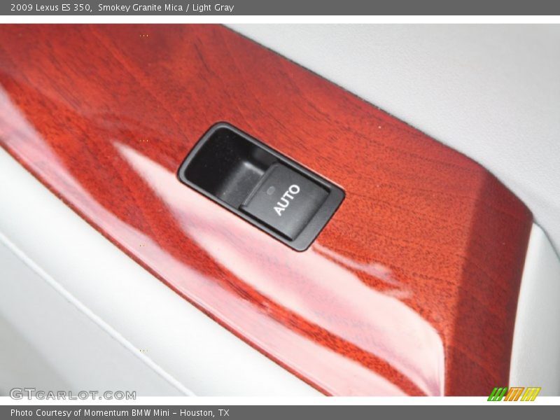 Smokey Granite Mica / Light Gray 2009 Lexus ES 350