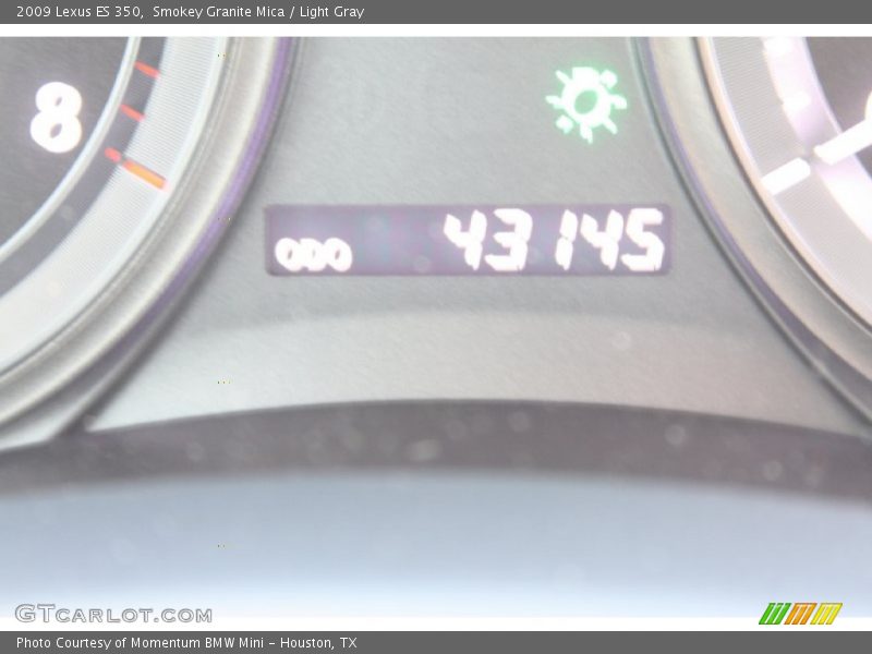 Smokey Granite Mica / Light Gray 2009 Lexus ES 350