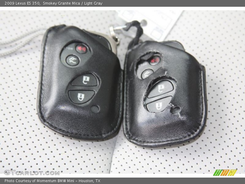 Smokey Granite Mica / Light Gray 2009 Lexus ES 350