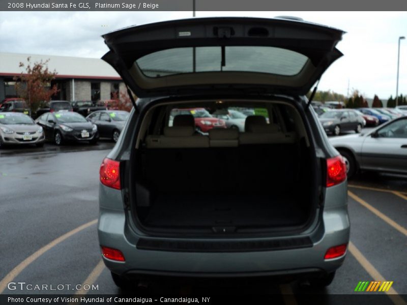 Platinum Sage / Beige 2008 Hyundai Santa Fe GLS