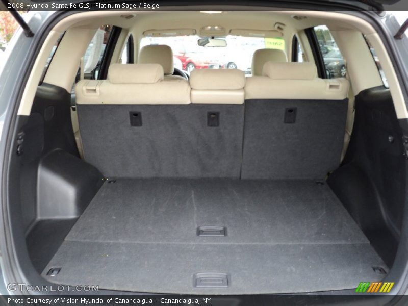 Platinum Sage / Beige 2008 Hyundai Santa Fe GLS