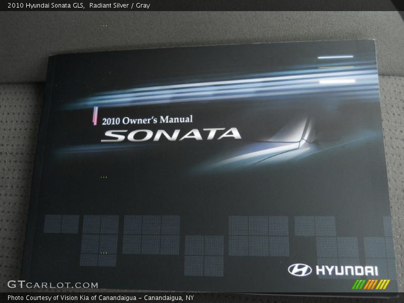 Radiant Silver / Gray 2010 Hyundai Sonata GLS