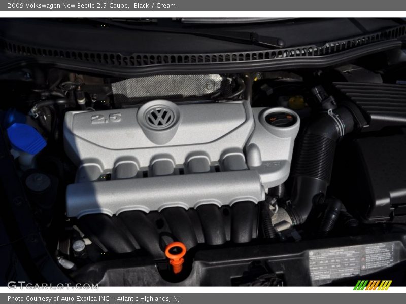 Black / Cream 2009 Volkswagen New Beetle 2.5 Coupe