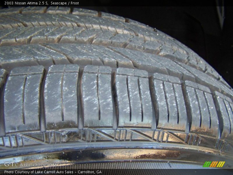 Seascape / Frost 2003 Nissan Altima 2.5 S