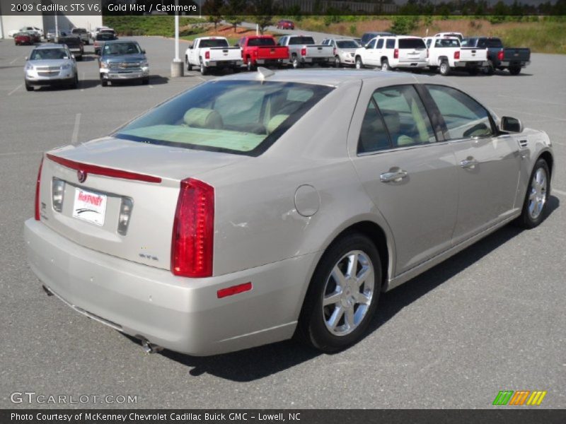 Gold Mist / Cashmere 2009 Cadillac STS V6