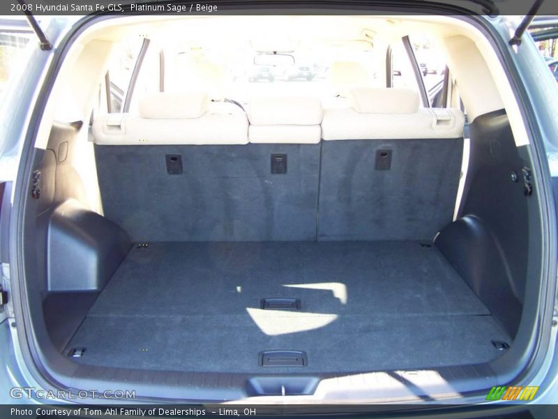 Platinum Sage / Beige 2008 Hyundai Santa Fe GLS
