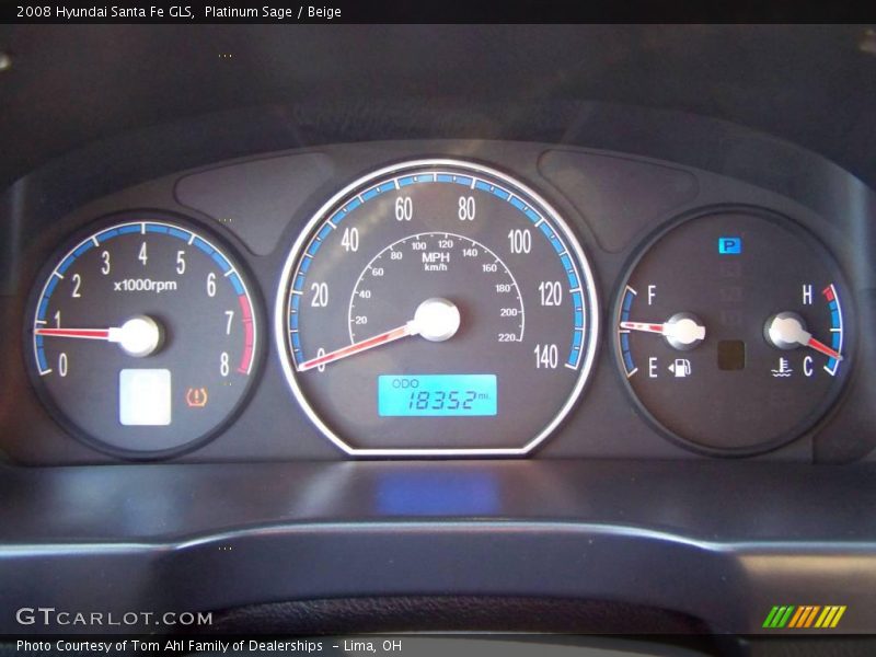 Platinum Sage / Beige 2008 Hyundai Santa Fe GLS