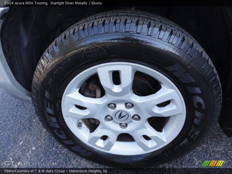 Starlight Silver Metallic / Ebony 2004 Acura MDX Touring
