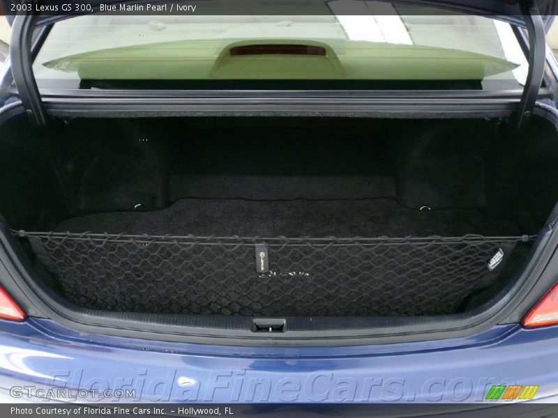 Blue Marlin Pearl / Ivory 2003 Lexus GS 300