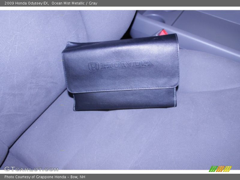 Ocean Mist Metallic / Gray 2009 Honda Odyssey EX