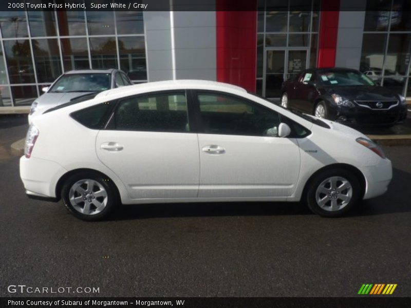 Super White / Gray 2008 Toyota Prius Hybrid