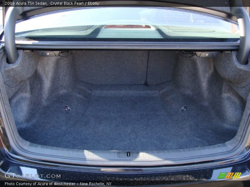 Crystal Black Pearl / Ebony 2009 Acura TSX Sedan