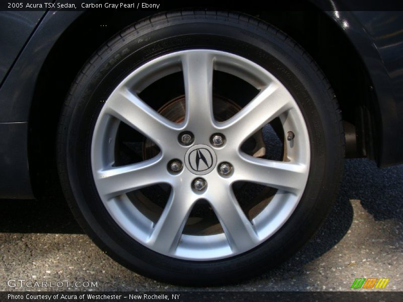 Carbon Gray Pearl / Ebony 2005 Acura TSX Sedan