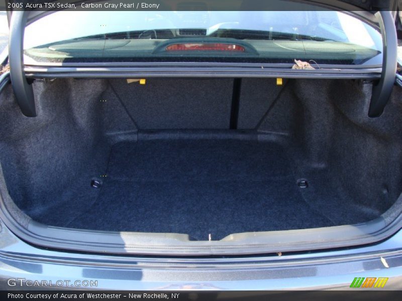 Carbon Gray Pearl / Ebony 2005 Acura TSX Sedan