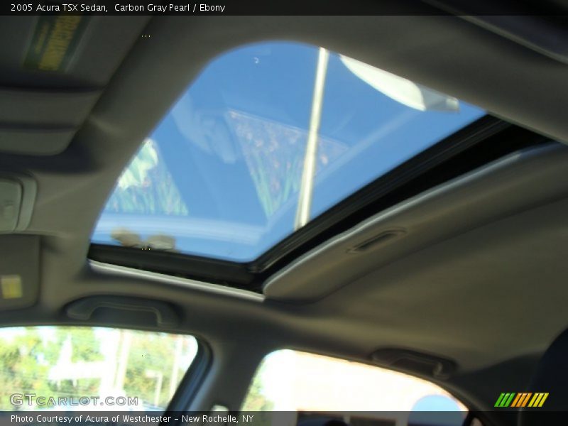 Carbon Gray Pearl / Ebony 2005 Acura TSX Sedan