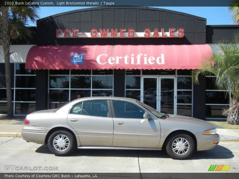 Light Bronzemist Metallic / Taupe 2002 Buick LeSabre Custom