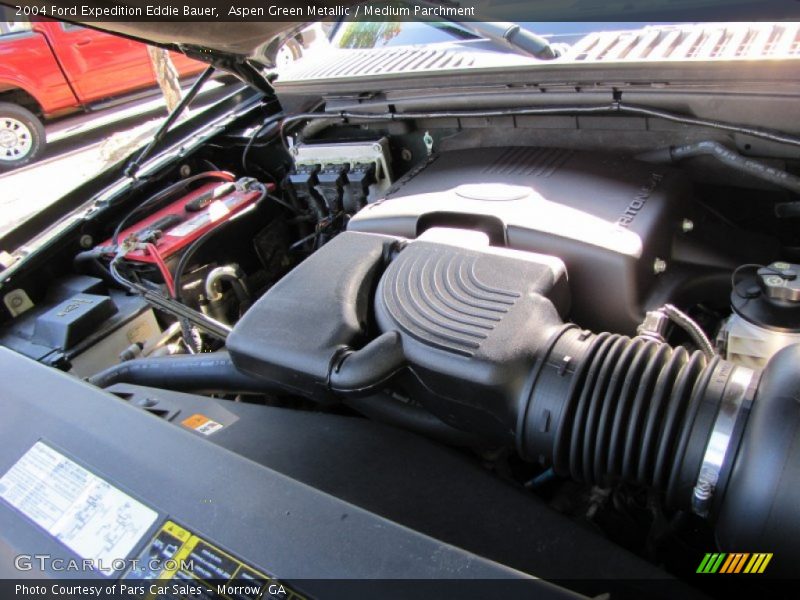 Aspen Green Metallic / Medium Parchment 2004 Ford Expedition Eddie Bauer