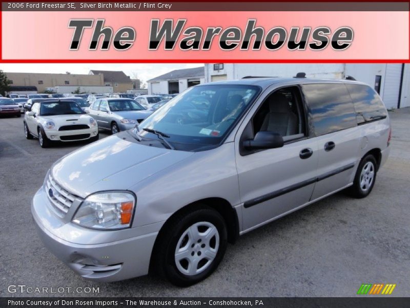 Silver Birch Metallic / Flint Grey 2006 Ford Freestar SE