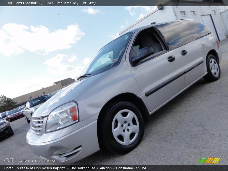 Silver Birch Metallic / Flint Grey 2006 Ford Freestar SE