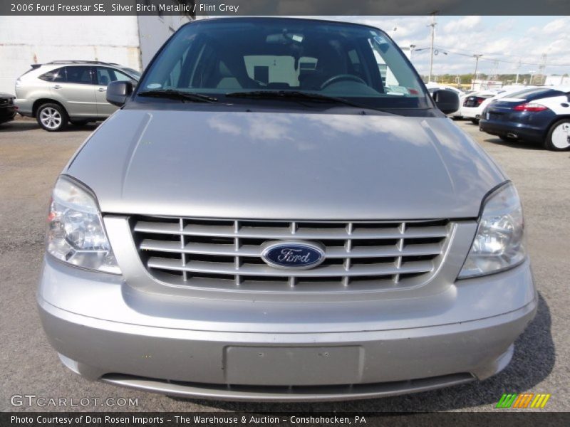 Silver Birch Metallic / Flint Grey 2006 Ford Freestar SE