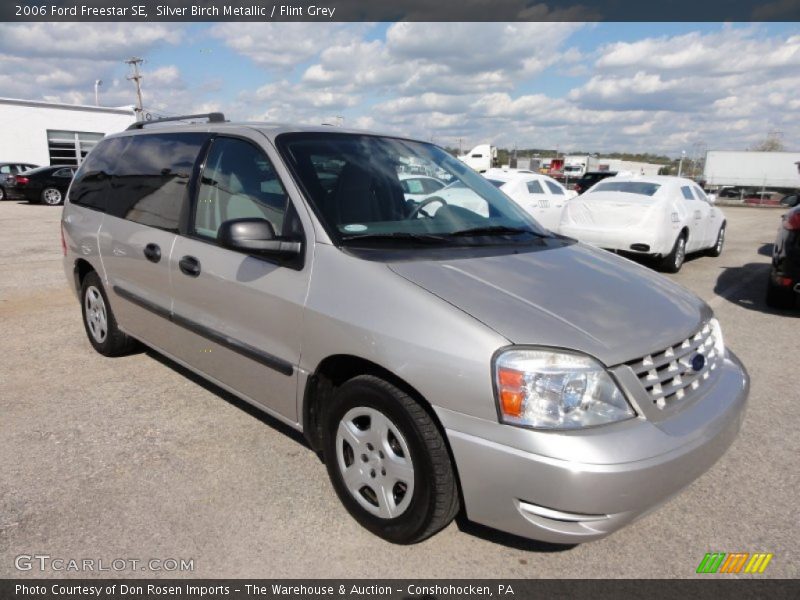 Silver Birch Metallic / Flint Grey 2006 Ford Freestar SE