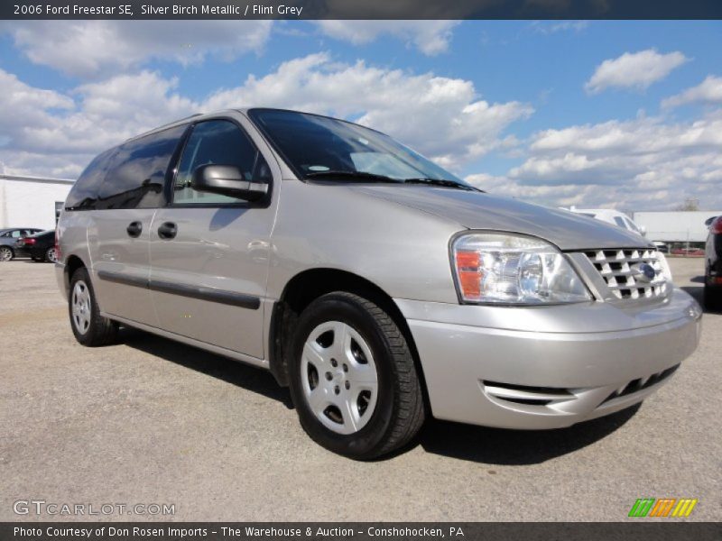 Silver Birch Metallic / Flint Grey 2006 Ford Freestar SE