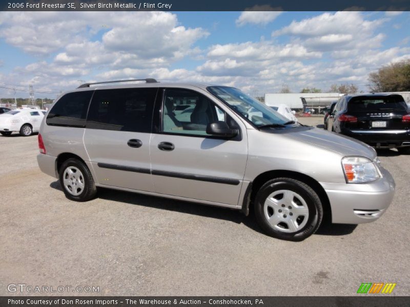 Silver Birch Metallic / Flint Grey 2006 Ford Freestar SE