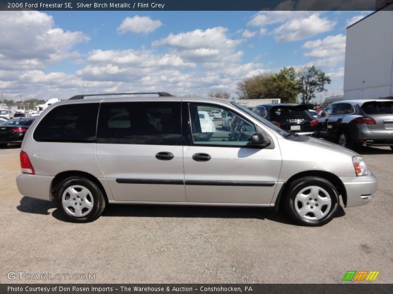Silver Birch Metallic / Flint Grey 2006 Ford Freestar SE