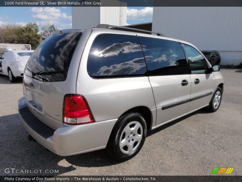 Silver Birch Metallic / Flint Grey 2006 Ford Freestar SE