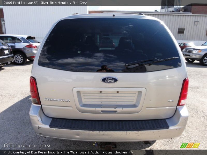 Silver Birch Metallic / Flint Grey 2006 Ford Freestar SE