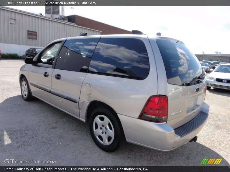 Silver Birch Metallic / Flint Grey 2006 Ford Freestar SE