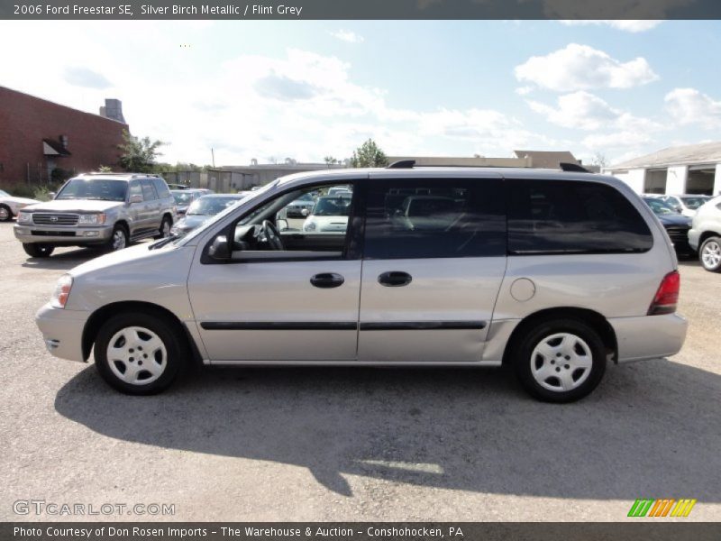 Silver Birch Metallic / Flint Grey 2006 Ford Freestar SE