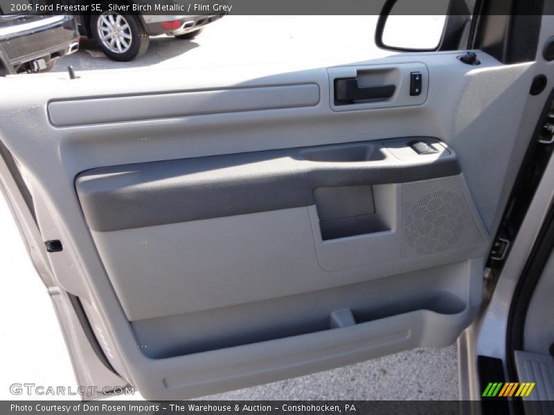 Silver Birch Metallic / Flint Grey 2006 Ford Freestar SE