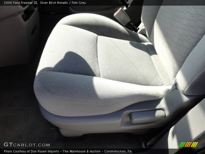 Silver Birch Metallic / Flint Grey 2006 Ford Freestar SE