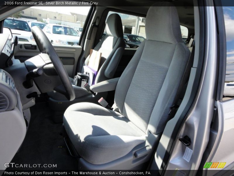 Silver Birch Metallic / Flint Grey 2006 Ford Freestar SE