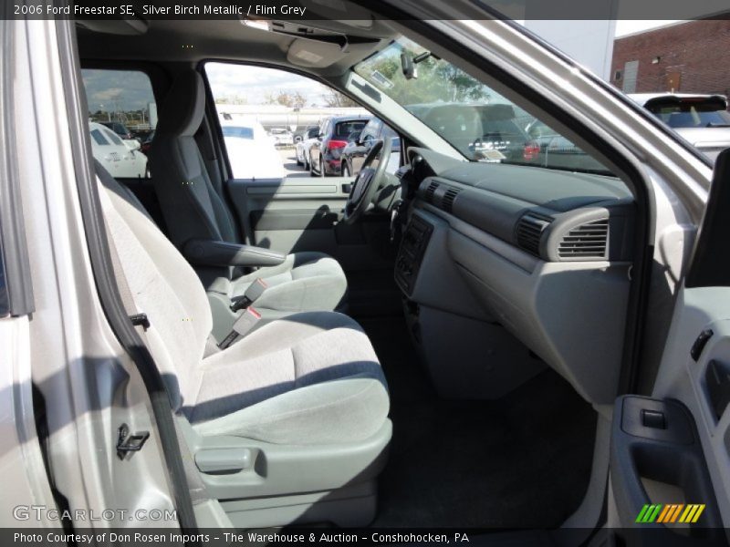 Silver Birch Metallic / Flint Grey 2006 Ford Freestar SE