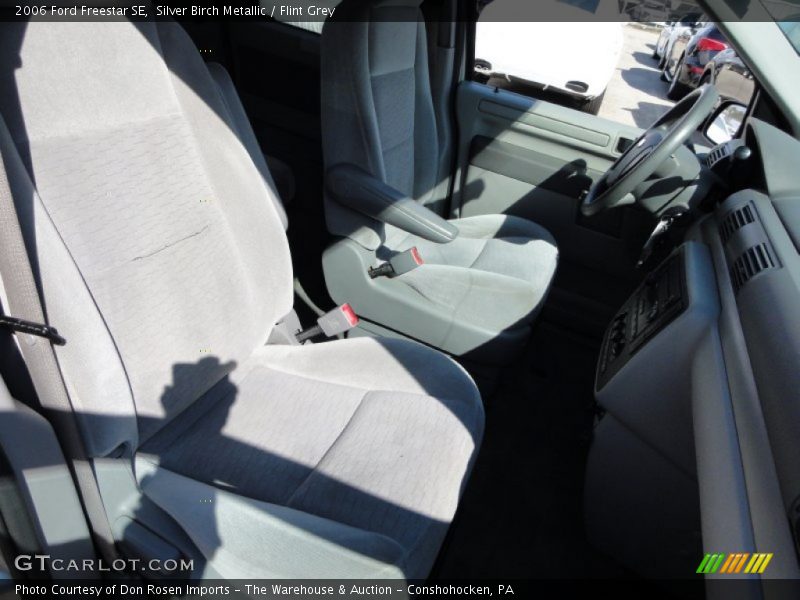 Silver Birch Metallic / Flint Grey 2006 Ford Freestar SE