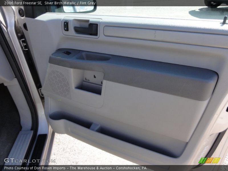 Silver Birch Metallic / Flint Grey 2006 Ford Freestar SE