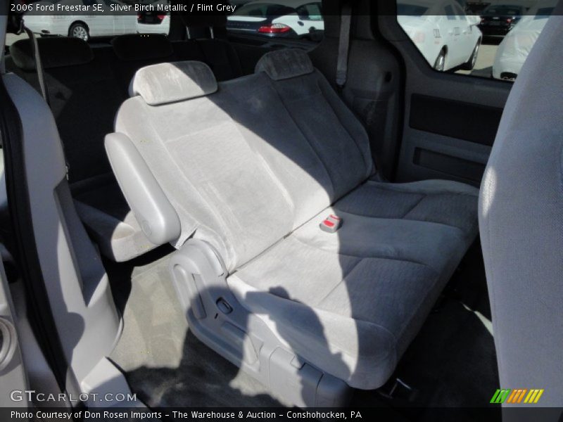 Silver Birch Metallic / Flint Grey 2006 Ford Freestar SE