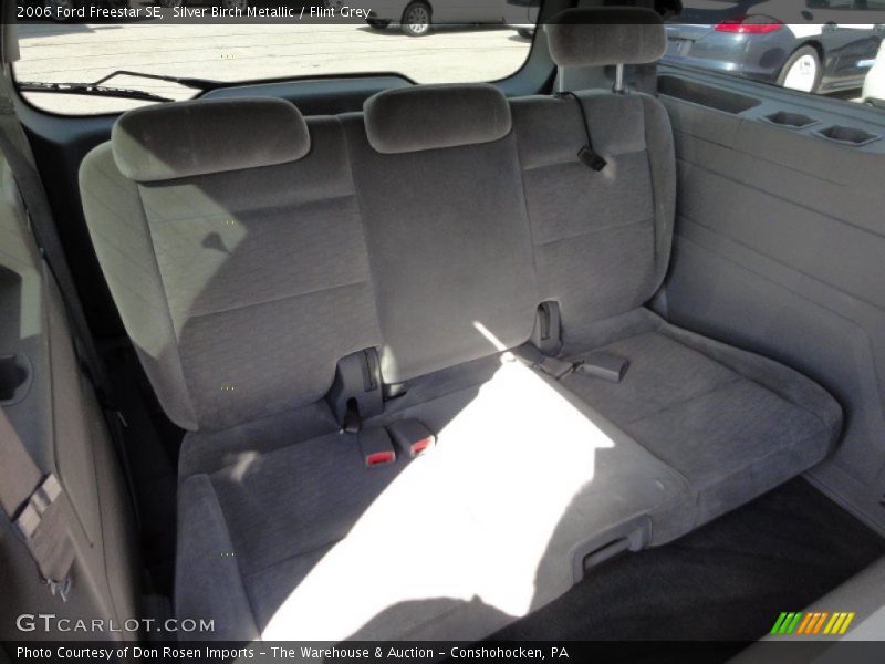 Silver Birch Metallic / Flint Grey 2006 Ford Freestar SE