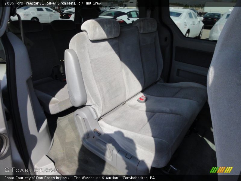 Silver Birch Metallic / Flint Grey 2006 Ford Freestar SE