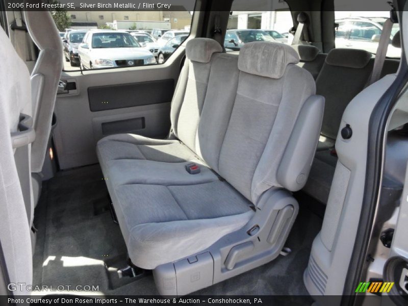 Silver Birch Metallic / Flint Grey 2006 Ford Freestar SE