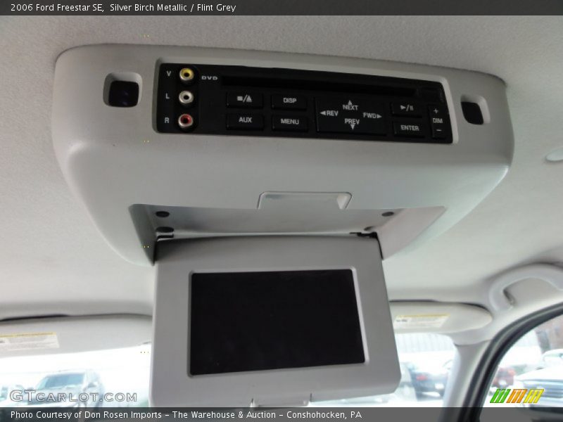 Silver Birch Metallic / Flint Grey 2006 Ford Freestar SE