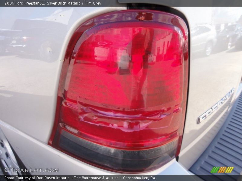 Silver Birch Metallic / Flint Grey 2006 Ford Freestar SE